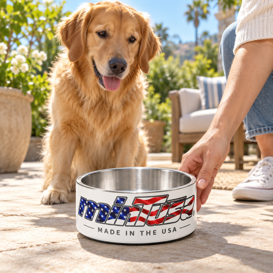 Golden retriever beside the minTusa Star Spangled pet bowl on a sunny California patio
